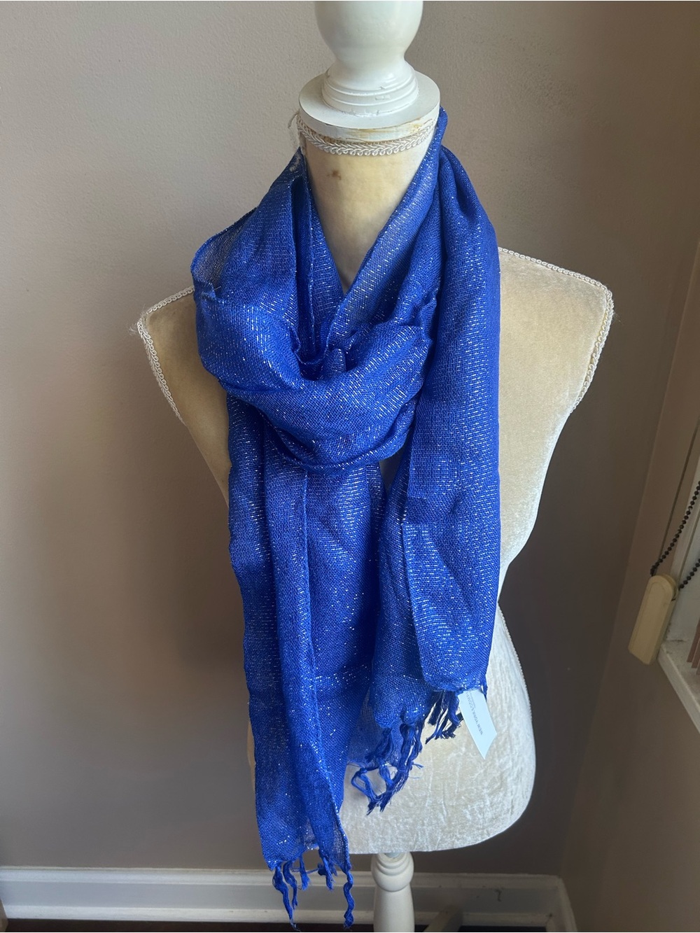 New York & Company Women’s Blue Shimmery Scarf Fringed New 5000-3102